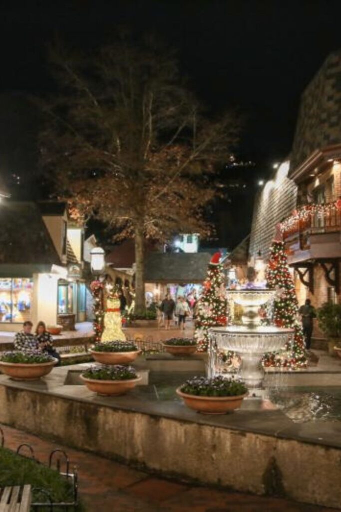 Winter Magic Lights on the Parkway