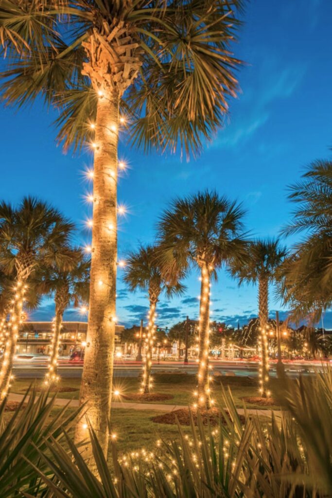 Palm trees decorated with Christmas lights