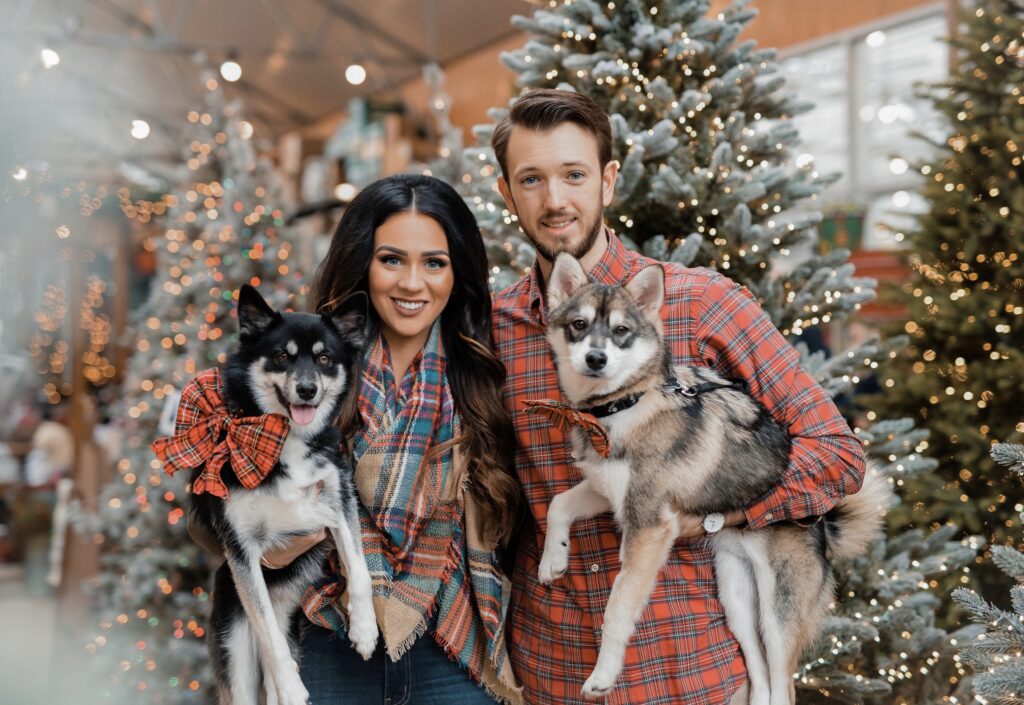 Christmas shoot for cards Christmas photoshoot for cards