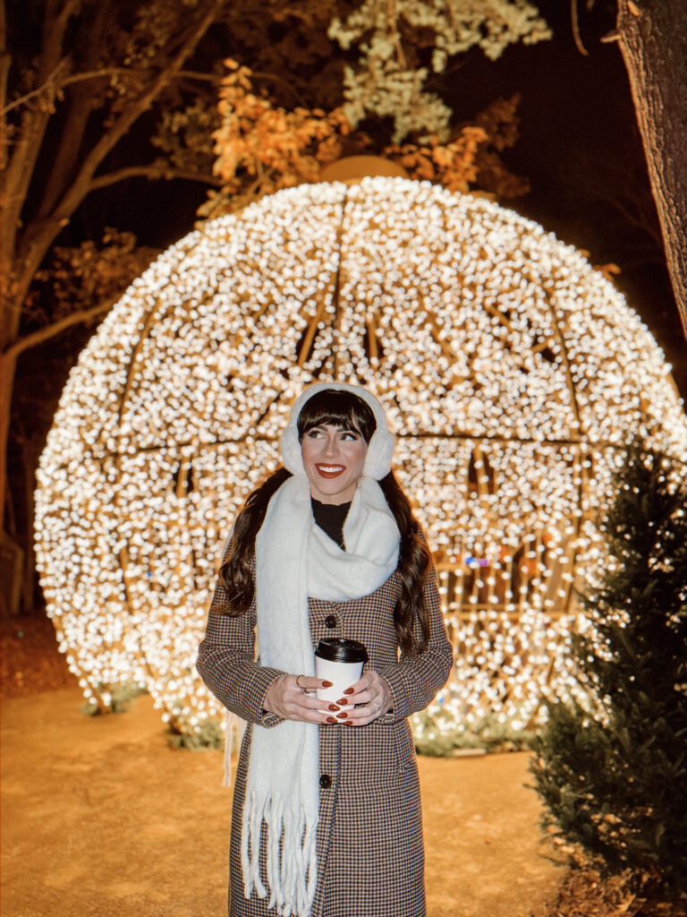 Christmas Lights Hunting Christmas Lights Hunting