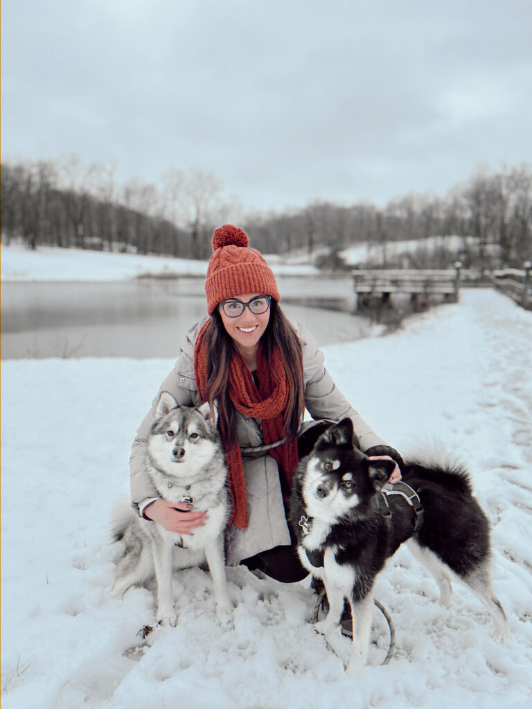 sierra and dogs in the snow Ultimate Christmas Bucket List