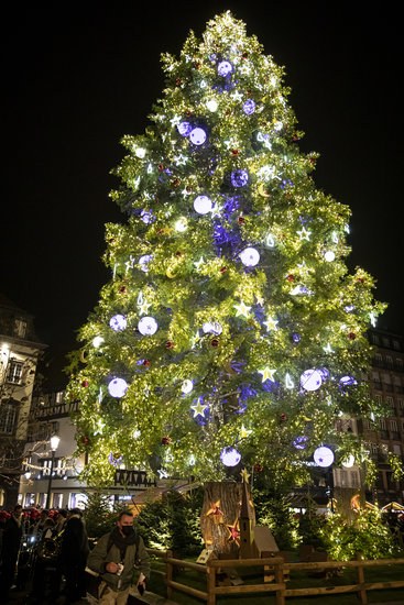 Strasbourg Christmas Market tree Strasbourg Christmas Market tree