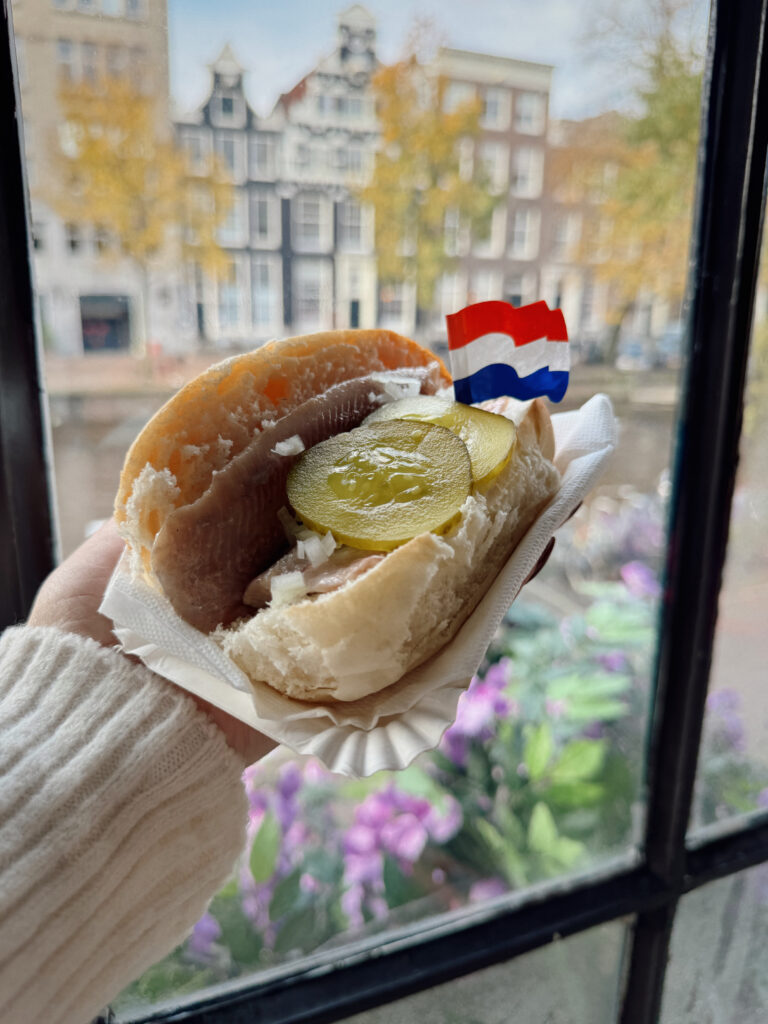 Amsterdam travel cost Amsterdam travel cost